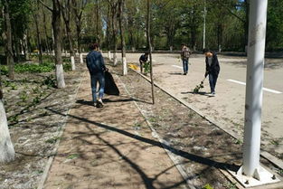 渤海大学党政办公室建筑物清洁服务 营造整洁高效行政环境的实践与意义